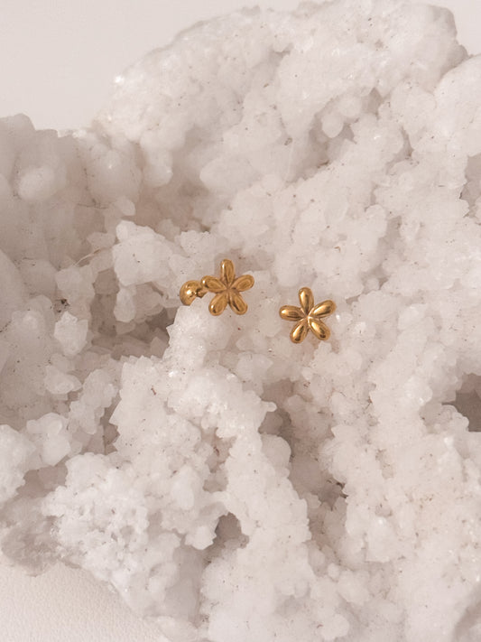 Mini flor Studs
